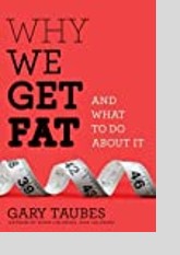 Why We Get Fat: And What to Do About It