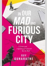 In Our Mad and Furious City