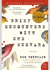 Brief Encounters with Che Guevara: Stories