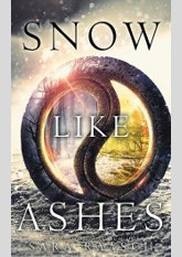 Snow Like Ashes (Snow Like Ashes, #1)