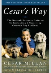 Cesar's Way: The Natural, Everyday Guide to Understanding and Correcting Common Dog Problems