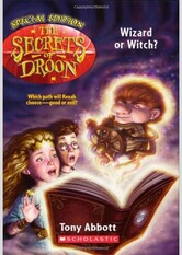 Wizard or Witch? (The Secrets of Droon: Special Edition #2)