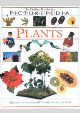 Plants: Picturepedia