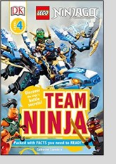 LEGO NINJAGO: Team Ninja