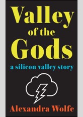 Valley of the Gods: A Silicon Valley Story
