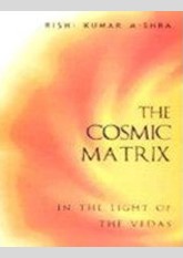 The Cosmic Matrix