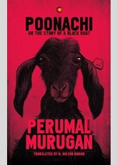 Poonachi: Or the Story of a Black Goat